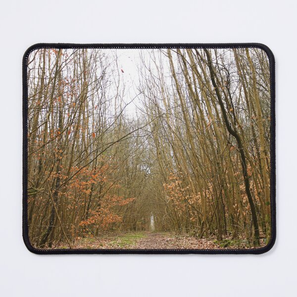 Item preview, Path in the Woods designed and sold by pinkal.
