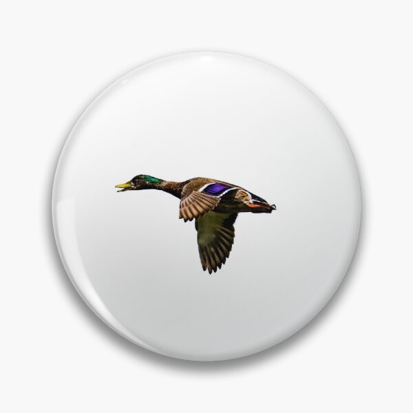Item preview, Flying Drake Mallard Duck designed and sold by WaterfowlArt.