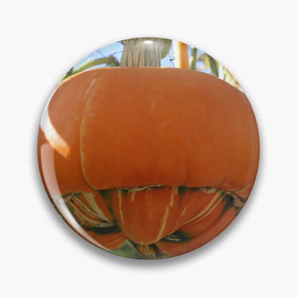 Item preview, Turban Squash designed and sold by pinkal.