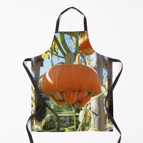 Item preview, Turban Squash designed and sold by pinkal.