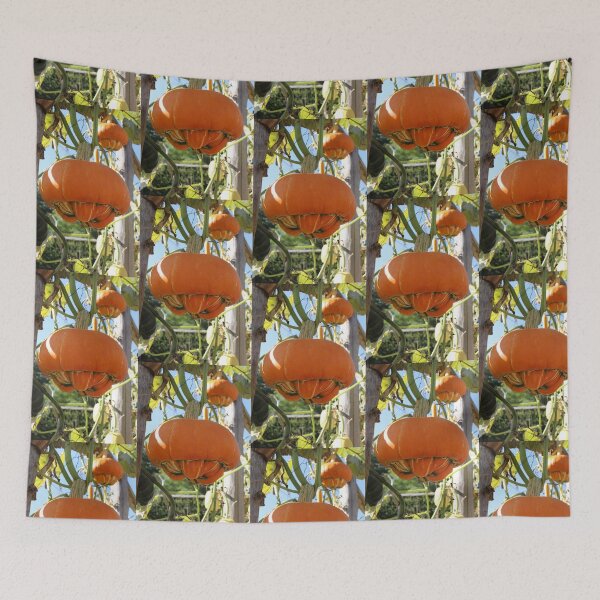 Item preview, Turban Squash designed and sold by pinkal.