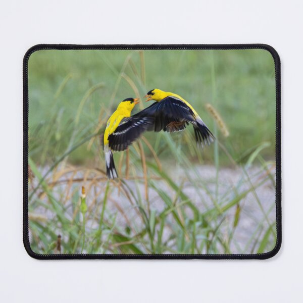 Item preview, The American Goldfinch and Native Grasses and Flowers as Habitat designed and sold by wenzler.