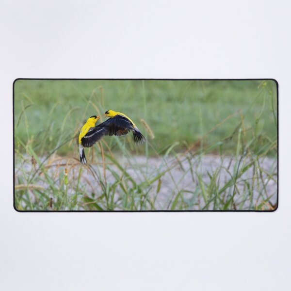 Item preview, The American Goldfinch and Native Grasses and Flowers as Habitat designed and sold by wenzler.
