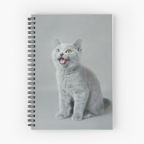 Item preview, British shorthair  cat, British blue kitten designed and sold by PetsArt.