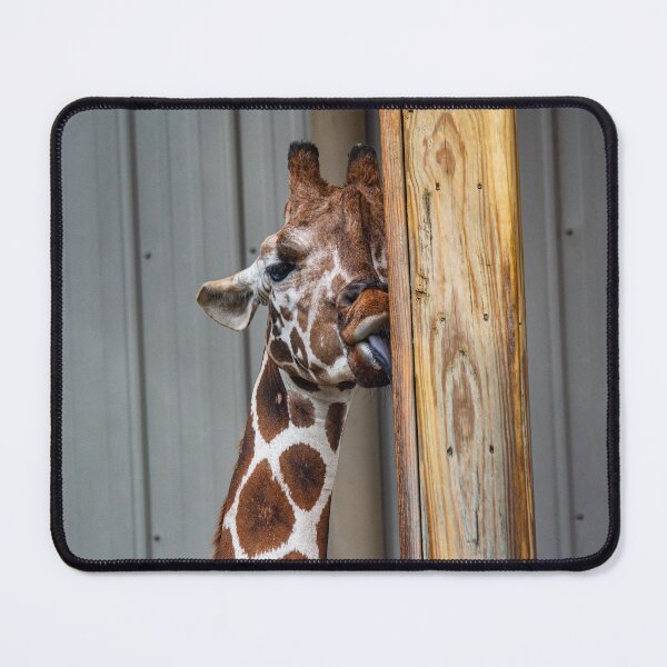 Item preview, Friendly Giraffe designed and sold by Split2ndPhotos.