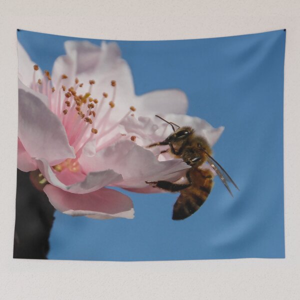 Item preview, Hanging On! designed and sold by heatherfriedman.