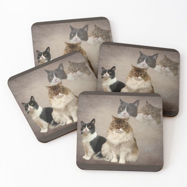 Item preview, kaid and frank school photo designed and sold by maxgilbert5000.