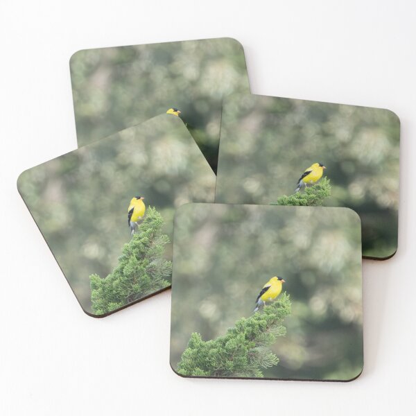 Item preview, The American Goldfinch: A Burst of Color in a Juniper Tree designed and sold by wenzler.