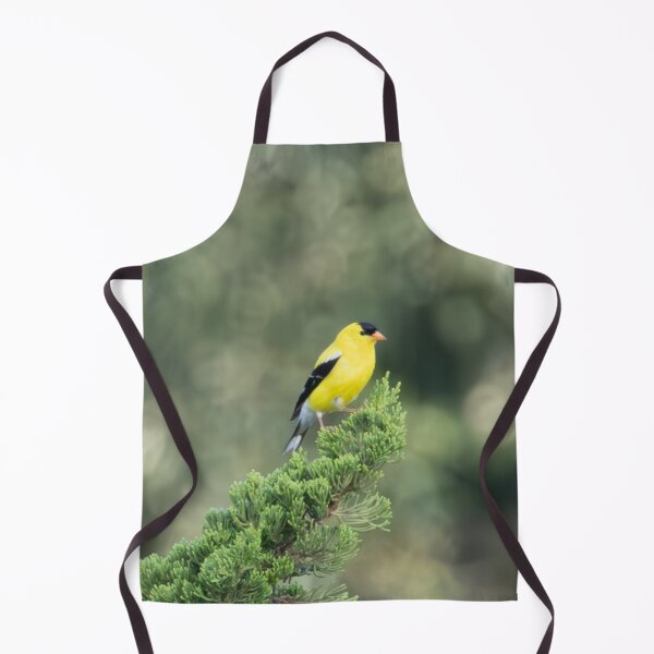 Item preview, The American Goldfinch: A Burst of Color in a Juniper Tree designed and sold by wenzler.
