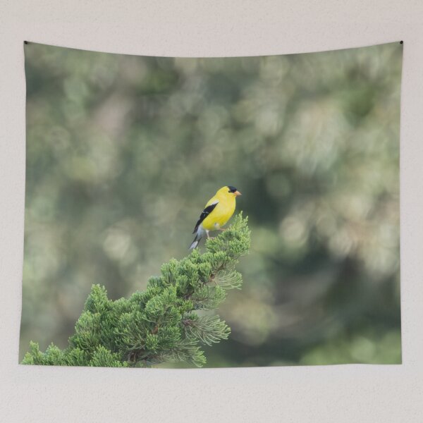 Item preview, The American Goldfinch: A Burst of Color in a Juniper Tree designed and sold by wenzler.
