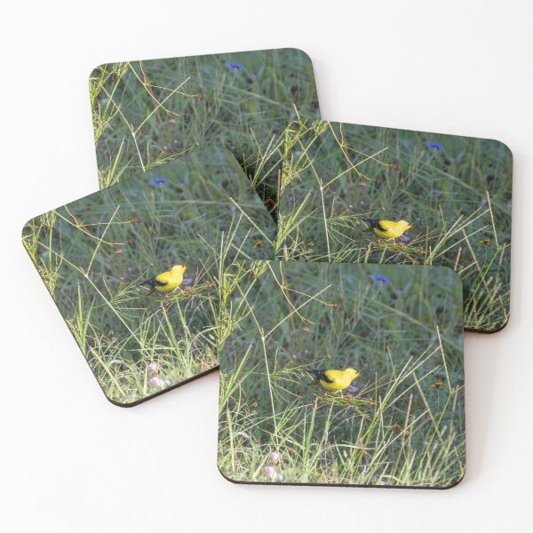 Item preview, The American Goldfinch and Its Natural Habitat designed and sold by wenzler.
