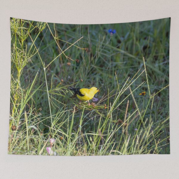 Item preview, The American Goldfinch and Its Natural Habitat designed and sold by wenzler.