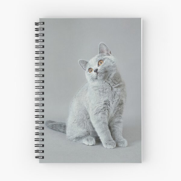 Item preview, British shorthair cat British blue  designed and sold by PetsArt.