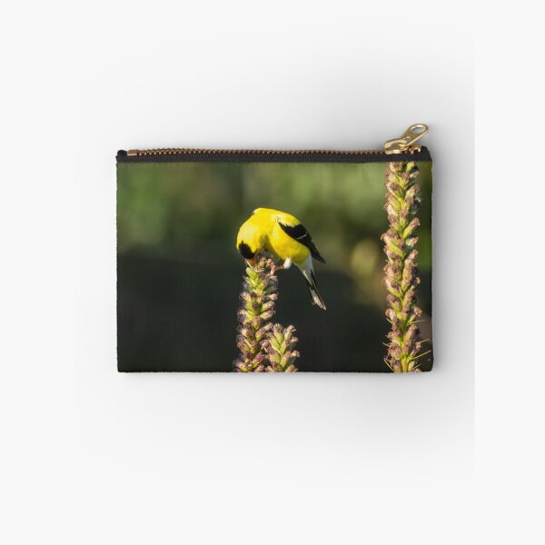 Item preview, The American Goldfinch In My Liatris "Blazing Star" designed and sold by wenzler.