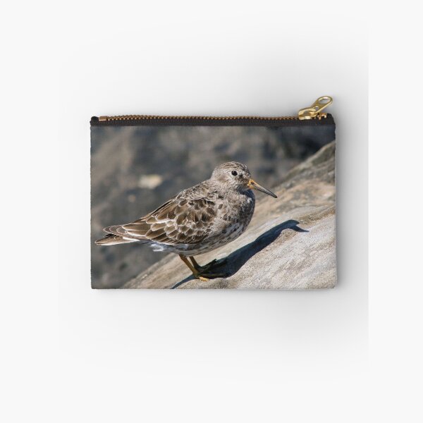 Item preview, Purple Sandpiper I designed and sold by GreyFeatherPhot.