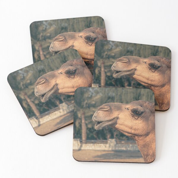 Item preview, A photograph of camel  designed and sold by Alshoalla.