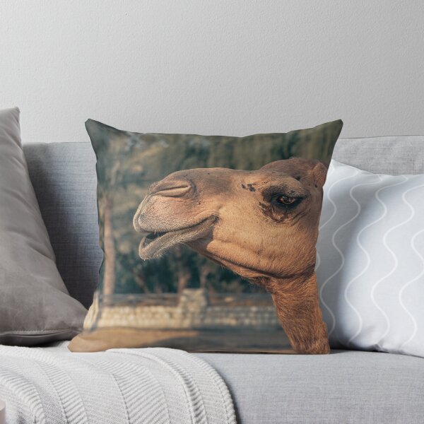 Item preview, A photograph of camel  designed and sold by Alshoalla.