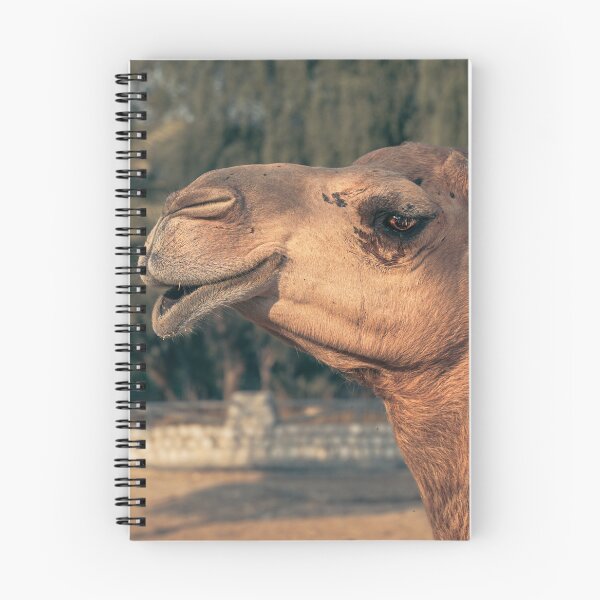 Item preview, A photograph of camel  designed and sold by Alshoalla.