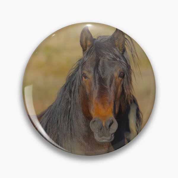 Item preview, Poster Boy Australian Brumby designed and sold by Gabrielle  Lees.