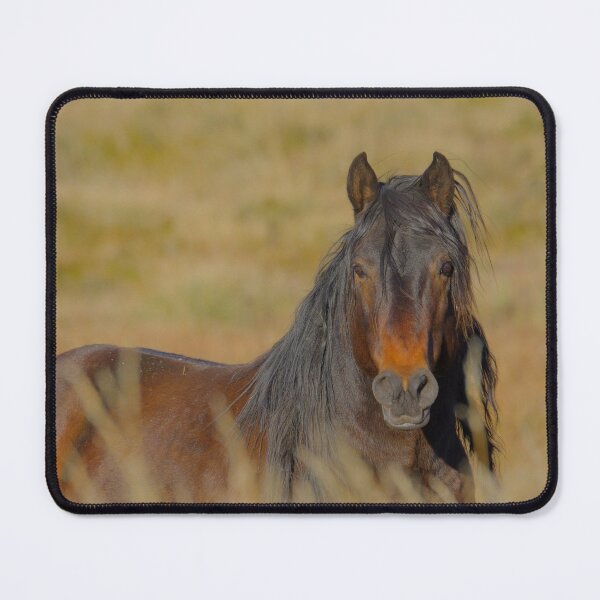 Item preview, Poster Boy Australian Brumby designed and sold by Gabrielle  Lees.