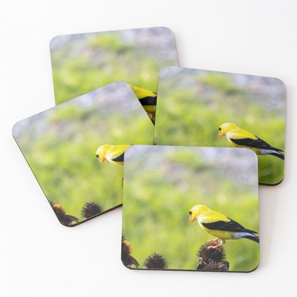 Item preview, The American Goldfinch and Coneflowers designed and sold by wenzler.