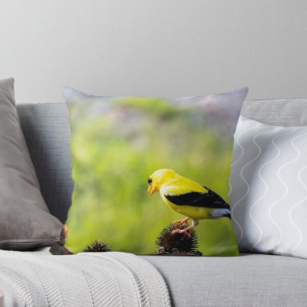 Item preview, The American Goldfinch and Coneflowers designed and sold by wenzler.