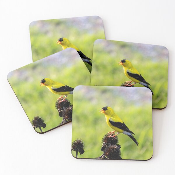 Item preview, The American Goldfinch Enjoying Seeds From My Coneflowers designed and sold by wenzler.