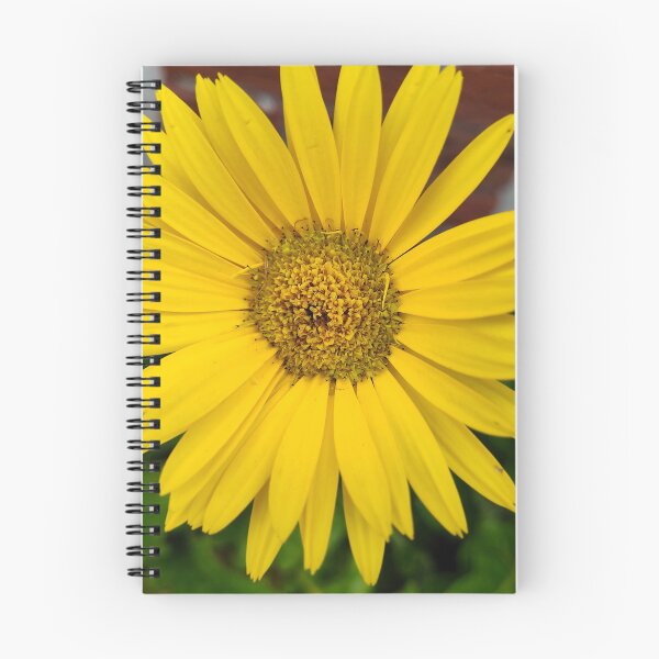 Item preview, Macro of Yellow Flower designed and sold by SCTBUFFALOPHOTO.