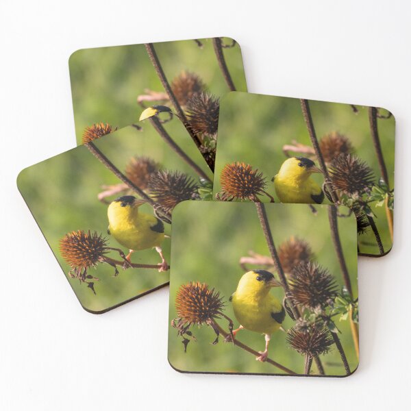 Item preview, The American Goldfinch Enjoying Seeds From My Coneflowers designed and sold by wenzler.