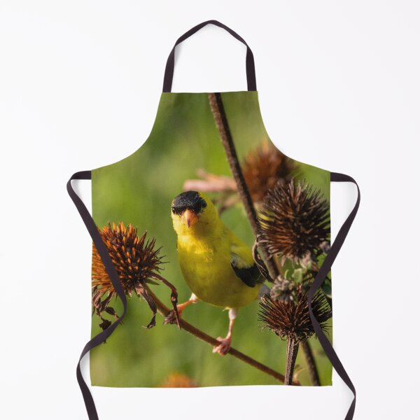 Item preview, The American Goldfinch, scientifically known as Spinus tristis designed and sold by wenzler.