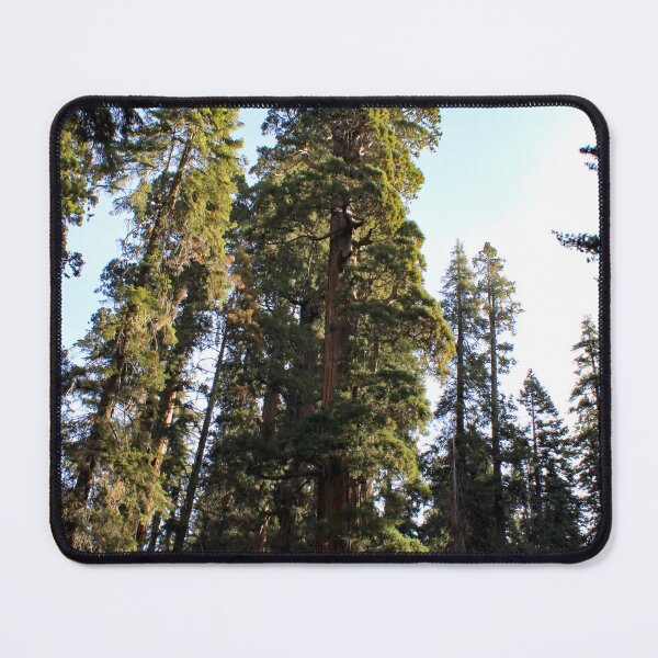 Item preview, Sequoia National Park designed and sold by supernova23.