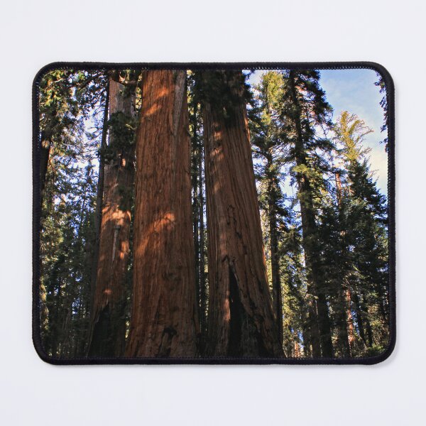 Item preview, Sequoia National Park designed and sold by supernova23.