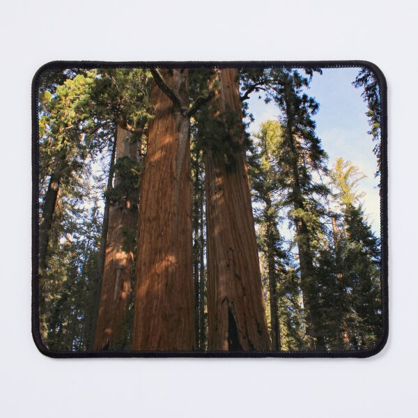 Item preview, Sequoia National Park designed and sold by supernova23.