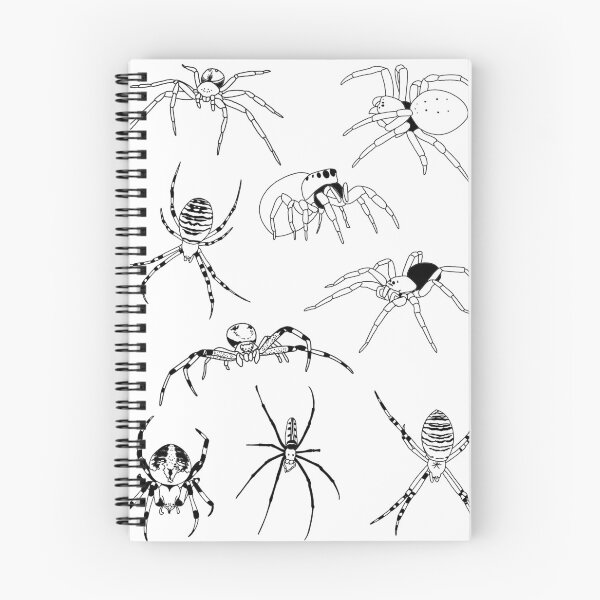 Item preview, Black spiders designed and sold by Courtney Croxall.