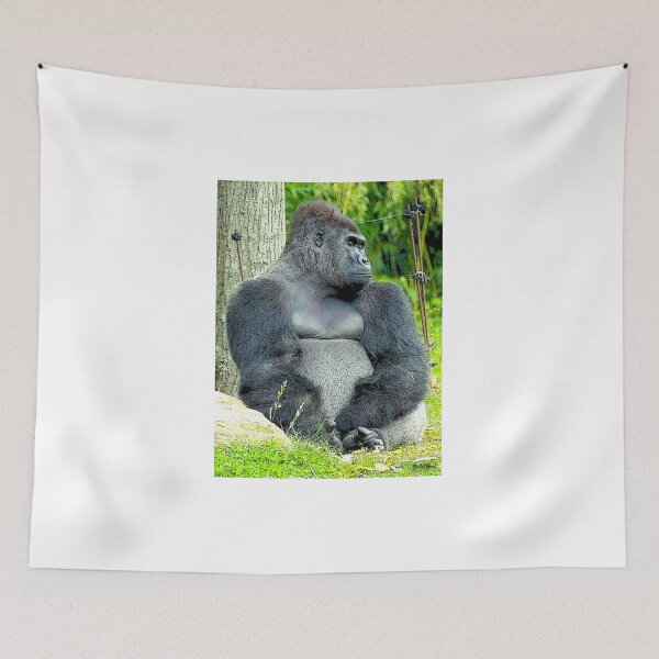 Item preview, Gorilla designed and sold by NorbertRicaud.