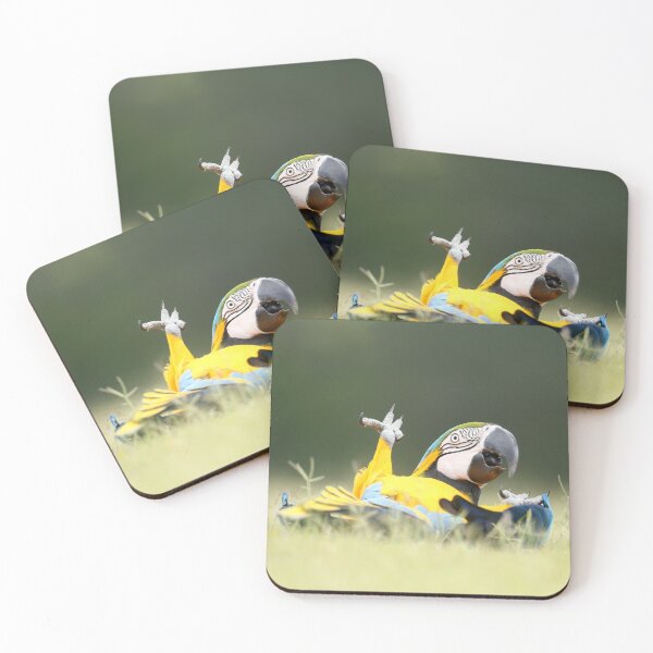 Item preview, Roku the Blue & Gold Macaw designed and sold by Adventures  of Roku.