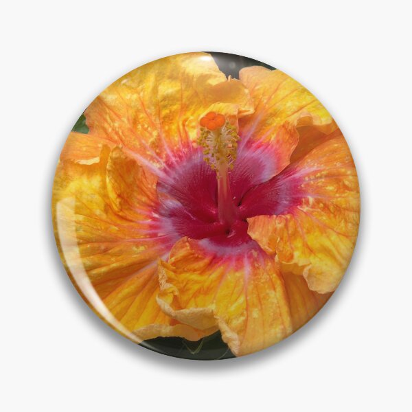 Item preview, Yellow Hibiscus Flower In Costa Rica designed and sold by peaches23.