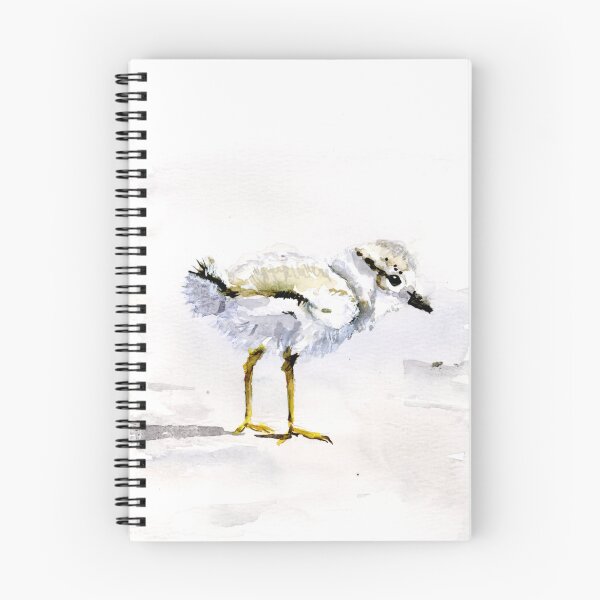 Item preview, Plover Chick designed and sold by Artbydekloe.