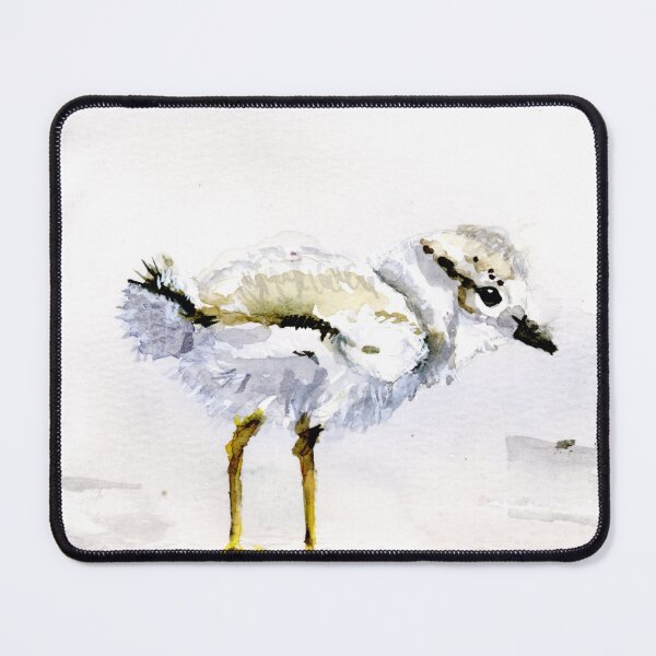 Item preview, Plover Chick designed and sold by Artbydekloe.