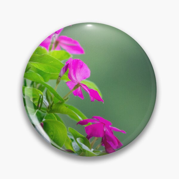 Item preview, The Vinca: A Nectar Haven designed and sold by wenzler.