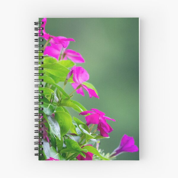 Item preview, The Vinca: A Nectar Haven designed and sold by wenzler.