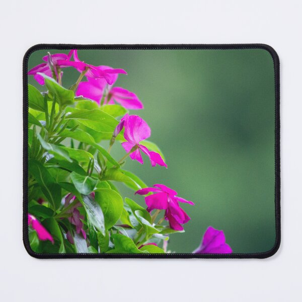 Item preview, The Vinca: A Nectar Haven designed and sold by wenzler.