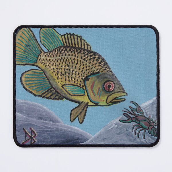 Item preview, Rock Bass and Crayfish - Oil Painting designed and sold by TheNatureNerd.