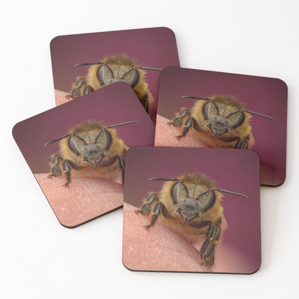 Item preview, A honeybee (Apis mellifera, Linnaeus, 1758) on the fingertip designed and sold by Ldarro.