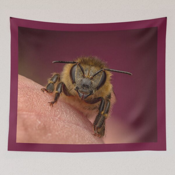 Item preview, A honeybee (Apis mellifera, Linnaeus, 1758) on the fingertip designed and sold by Ldarro.