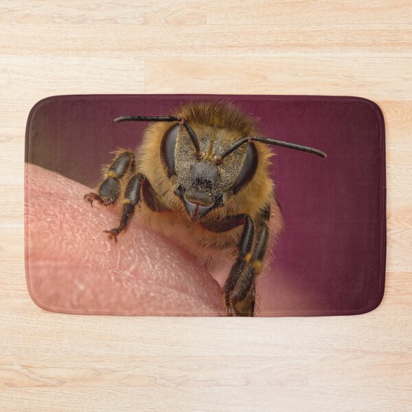 Item preview, A honeybee (Apis mellifera, Linnaeus, 1758) on the fingertip designed and sold by Ldarro.