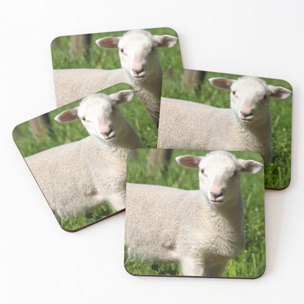 Item preview, A Lamb at Magpie Springs by Adelaide Artist Avril Thomas designed and sold by MagpieSprings.