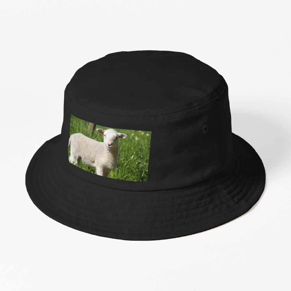 Item preview, Bucket Hat designed and sold by MagpieSprings.