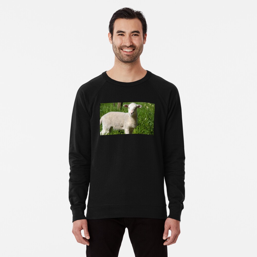 Item preview, Lightweight Sweatshirt designed and sold by MagpieSprings.