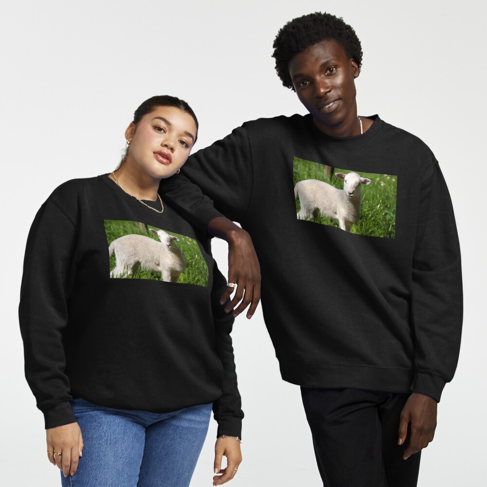 Item preview, Pullover Sweatshirt designed and sold by MagpieSprings.